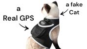 Get Realtime Pet Locations w/ Pet Tracker Mini Cat Dog GPS Tracking Collar Size:XXL