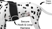 Get Realtime Pet Locations w/ Pet Tracker Mini Cat Dog GPS Tracking Collar Size:XXL