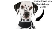 Get Realtime Pet Locations w/ Pet Tracker Mini Cat Dog GPS Tracking Collar Size:XL