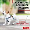 Nylon Dog Leash for Small Dogs Medium Dogs 4 Ft Strong Dog Leash for Large Dogs Heavy Duty Dog Leashes for Large Breed Dogs & Puppy Leash for Small Bo