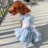 Blue Daisy Dog Dress