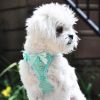 Teal Polka Dot Ruffle