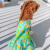 Pineapple Luau Dog Harness Dress