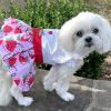 Strawberry Picnic  Harness Dress