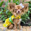 Ladybugs and Daisies Dog Dress